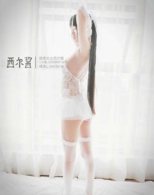 侍女的故事[第一季全]